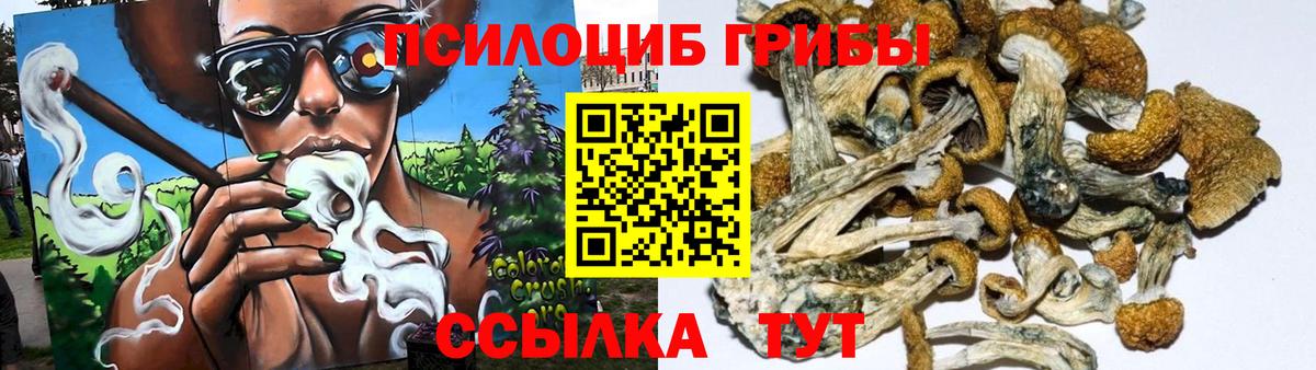 МЕТАДОН Домодедово